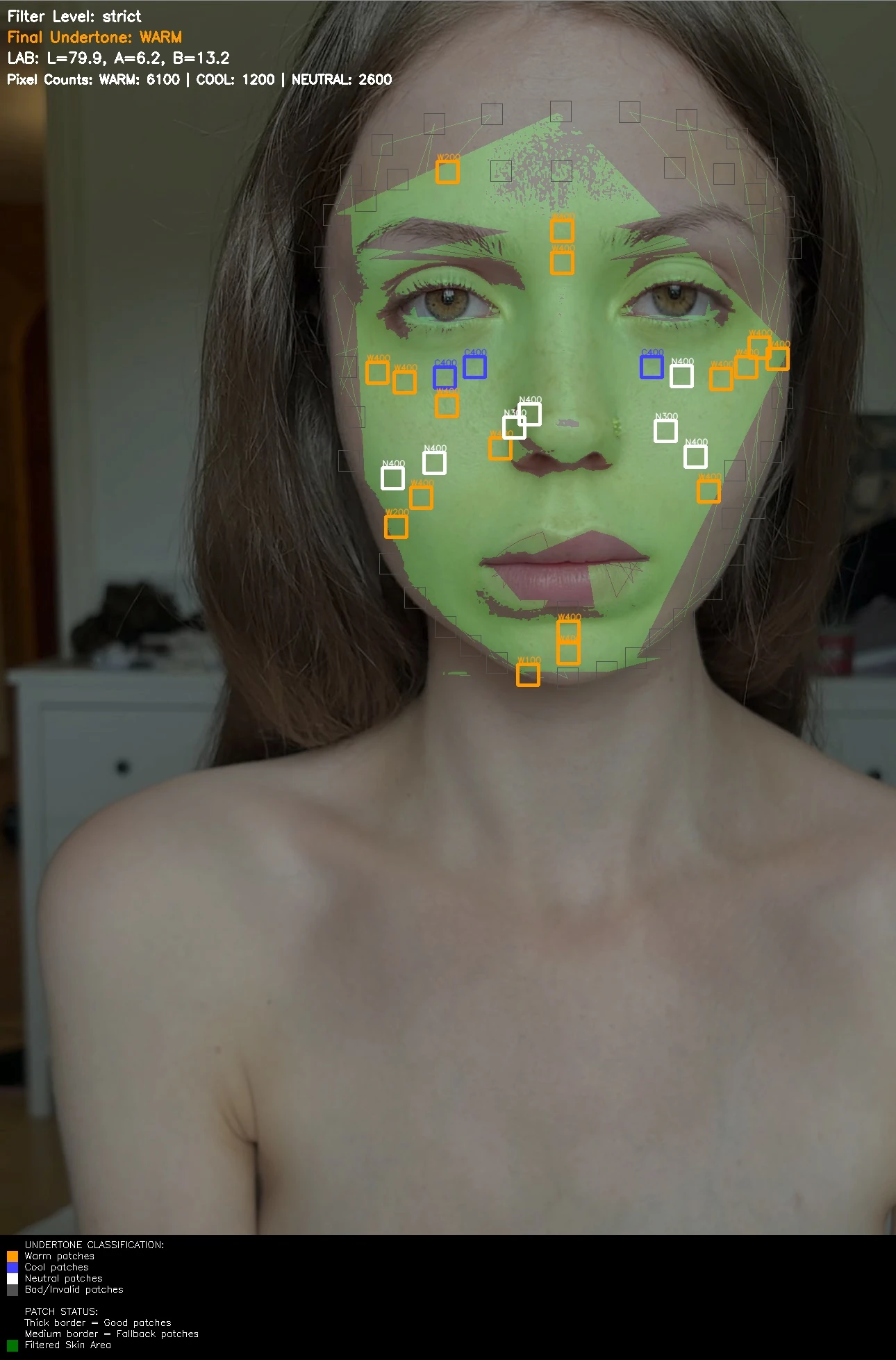 Debug visualization showing annotated face with colored patch borders indicating warm, cool, and neutral classifications, plus green skin mask overlay